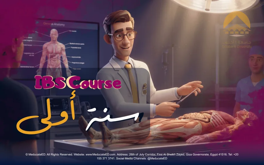 IBS - Introduction to Body Structures